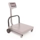 Báscula De Recibo Torrey FS-500 AI Acero Inoxidable Plataforma De 500 Kilos